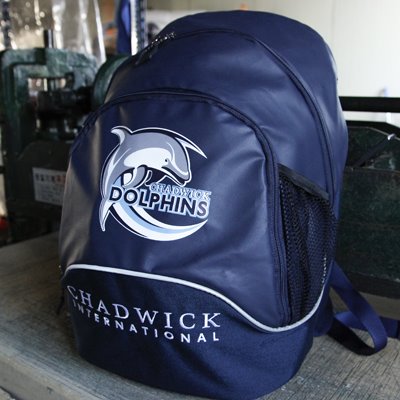 Chadwick Backpack dolphin
